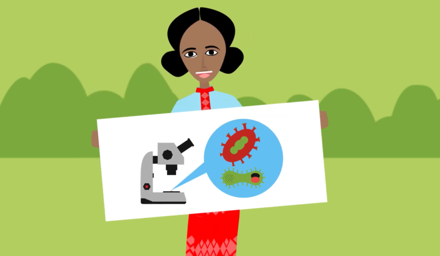 Screenshot uit educatieve animatie Ethiopia mortality rate